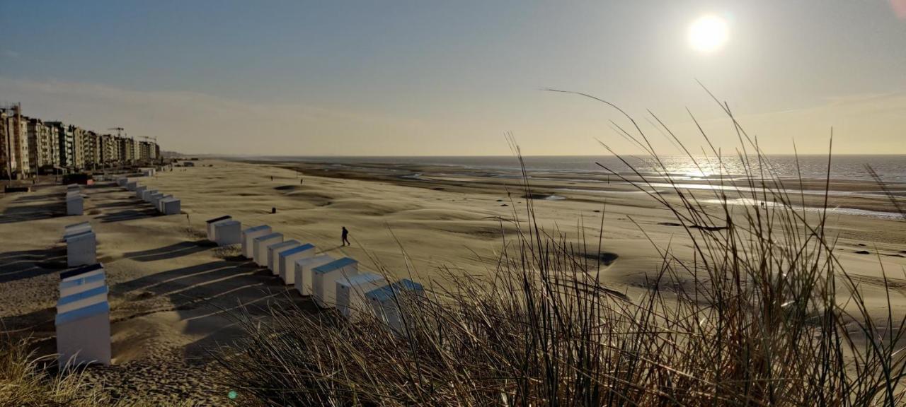 Le Zandkreek Plage & Centre - 2 Ch Koksijde Kültér fotó